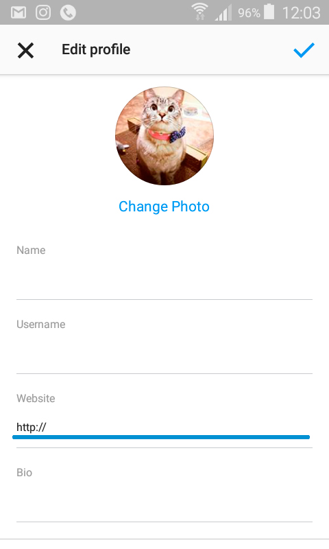 Instagram website field link example