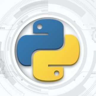 python software development