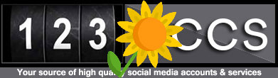 123accs logo sunflower
